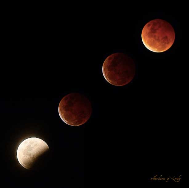 lunar ecplise, moon, sky, night, astronomy, photography, blood moon