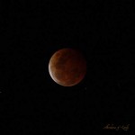lunar ecplise, moon, sky, night, astronomy, photography, blood moon