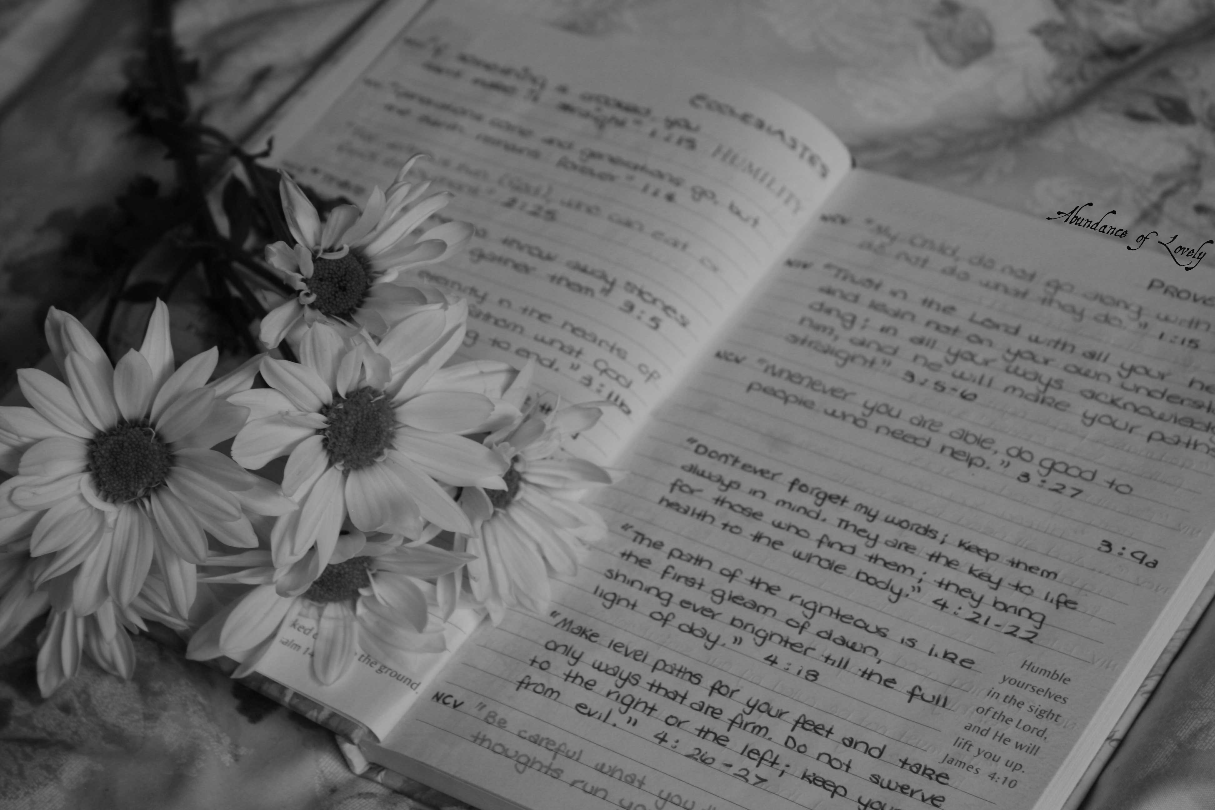 Inspiration, Quotes, Book, Notes, Bible, Scripture, Christian, Faith, Flowers, Black and White, Photography
