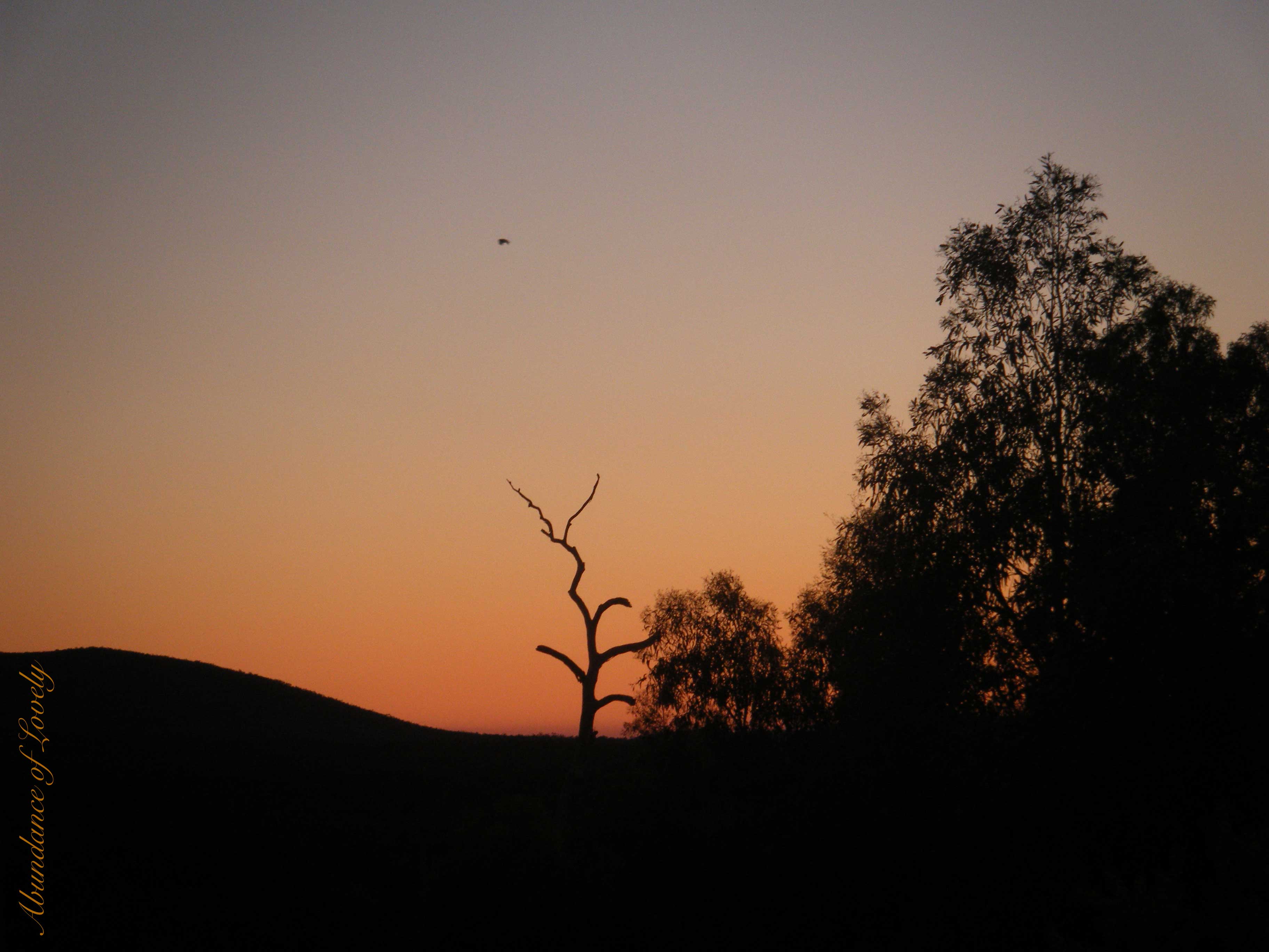 Sunset, Desert, Glow, Nature, Scenery, Australia | Abundance of Lovely