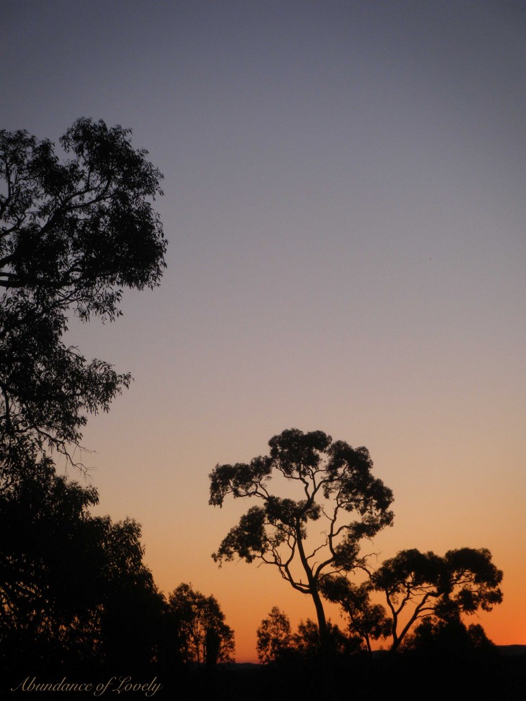 Sunset, Desert, Glow, Nature, Scenery, Australia | Abundance of Lovely