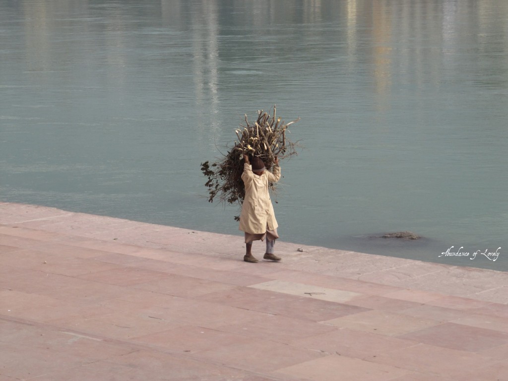 India, Rishikesh, Ganges River, Man, Tourist, Travel, Wanderlust